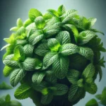 Secret de la médina - La tradition séculaire du thé marocain – Image 4