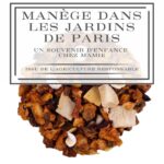 Manège dans les jardins de Paris - Un souvenir d'enfance chez Mamie