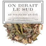 On dirait le sud - Et toujours en été