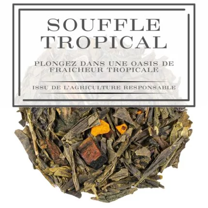 Souffle tropical - Plongez dans une oasis de fraîcheur tropicale