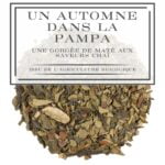 Un automne dans la pampa - Une gorgée de maté aux saveurs chaï